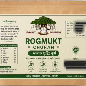 rogmukt stomach shudhi churan